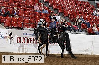 11buck_5072 proof
