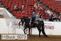 11buck_5073 proof