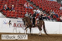 11buck_5077 proof