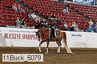 11buck_5079 proof