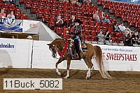 11buck_5082 proof