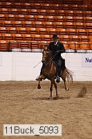 11buck_5093 proof