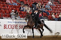 11buck_5094 proof