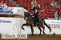 11buck_5095 proof