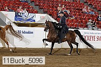 11buck_5096 proof