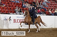 11buck_5099 proof