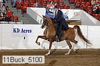 11buck_5100 proof
