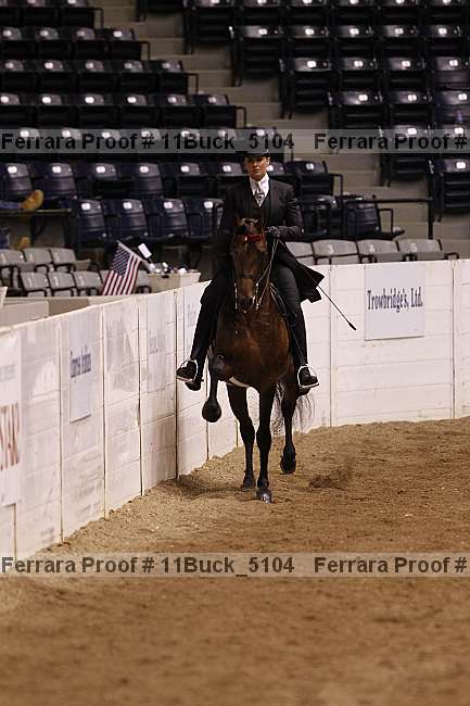 Proof 11buck_5104