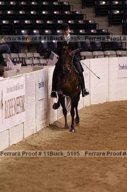 Proof 11buck_5105