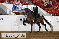 11buck_5106 proof