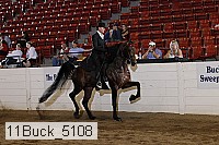 11buck_5108 proof