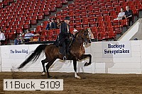11buck_5109 proof