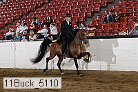 11buck_5110 proof