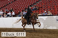 11buck_5111 proof