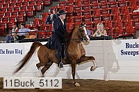 11buck_5112 proof