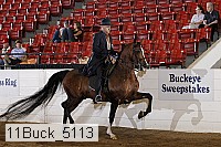 11buck_5113 proof