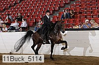11buck_5114 proof