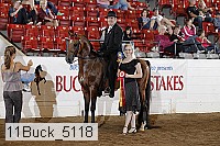 11buck_5118 proof