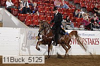 11buck_5125 proof