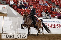 11buck_5126 proof