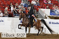 11buck_5127 proof