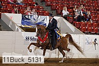 11buck_5131 proof