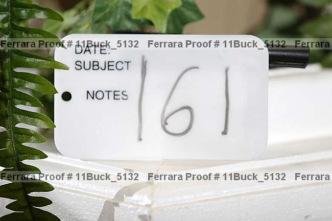 Proof 11buck_5132