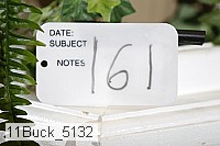 11buck_5132 proof