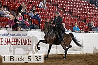 11buck_5133 proof