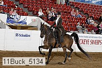 11buck_5134 proof