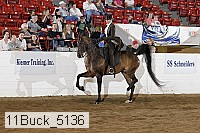 11buck_5136 proof