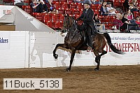 11buck_5138 proof