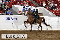 11buck_5139 proof