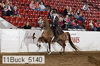 11buck_5140 proof