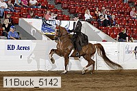11buck_5142 proof