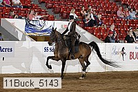 11buck_5143 proof