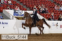 11buck_5144 proof