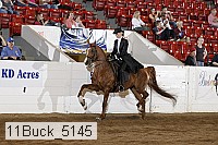 11buck_5145 proof