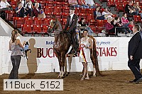 11buck_5152 proof