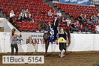 11buck_5154 proof