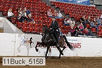 11buck_5158 proof