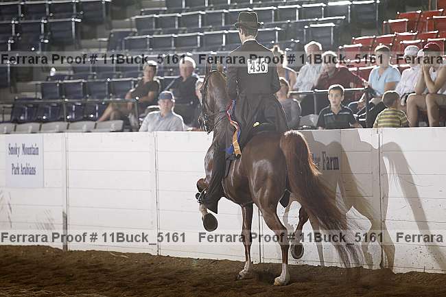 Proof 11buck_5161