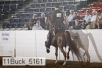 11buck_5161 proof