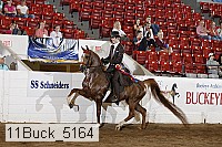 11buck_5164 proof