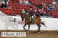 11buck_5172 proof