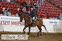 11buck_5178 proof