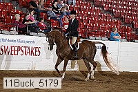 11buck_5179 proof