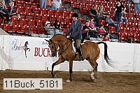 11buck_5181 proof