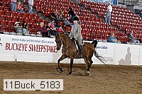11buck_5183 proof