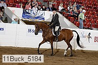 11buck_5184 proof